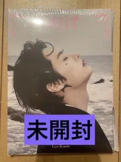 straykids do it accordion リノ