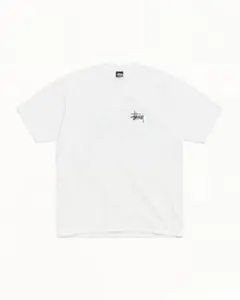Stussy ベージュ Tシャツ Sサイズ