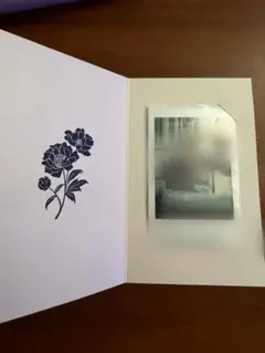 阿部顕嵐 I OF THE STORM FC会員証 チェキ