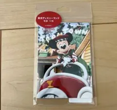 ディズニー　クリスマス　写真　トイズワンダラス