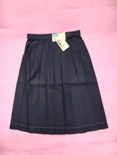 スクール女子夏スカートw69cm