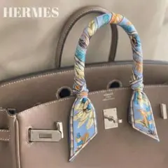 a12【美品】HERMES エルメス ツイリー ODYSSEY オデッセイ新タグ a12【美品】HERMES エルメス ツイリー ODYSSEY オデッセイ新タグ