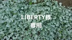 LIBERTY様 リクエスト 6点 まとめ商品