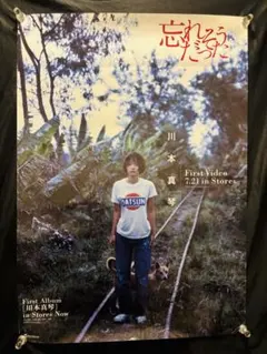 川本真琴 非売品グッズ(CD仕切り板・おまけ冊子・ミニポスター) - メルカリ