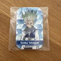 dr.stone 雪まつり 特典 スクエア缶バッジ 石神千空 千空 13個 Dr.STONE ドクターストーン 石神千空 さっぽろ雪まつり ネームバッジ