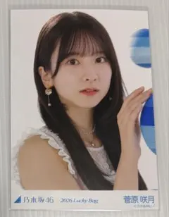 あ*ん様 乃木坂46 生写真 福袋2026 カレンダー衣装 菅原咲月 ヨリ