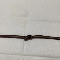 茶色、紫色、金糸の帯締め