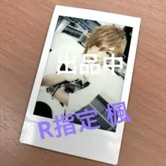 R指定/マモ】 チェキ インスト ヴィジュアル系 バンド グッズ 写真