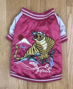 Item thumbnail for item 9bf70285-9ec5-417a-bf9a-e8a55c52e2ec