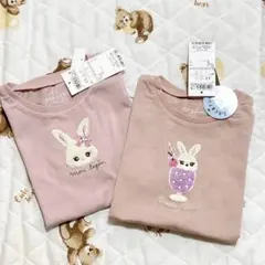 anyfam ANY 半袖Tシャツセット