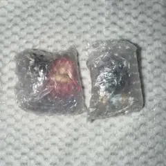 エイリアンステージ ALIENSTAGE ミジ スア ねんどろいどさぷらいず