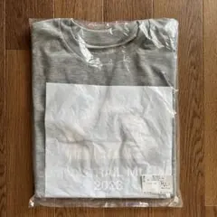 Mt.FUJI100 2025 フィニッシャーベスト(参加賞Tシャツ付き) - メルカリ