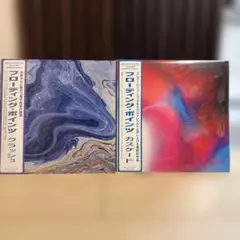 Floating Points LP 2枚 日本限定盤Crush Cascade - メルカリ
