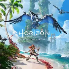 Horizon Forbidden West中古
