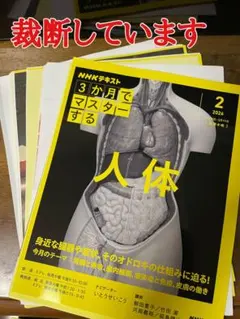 itsuki_desu様 リクエスト 3点 まとめ商品