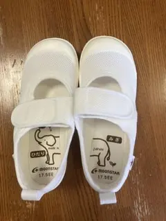 Item thumbnail for item 25ba73cf-31f7-4b22-96f0-c66cc52ccf50