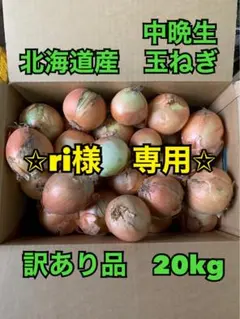 北海道産　中晩生玉ねぎ　訳あり品　20kg