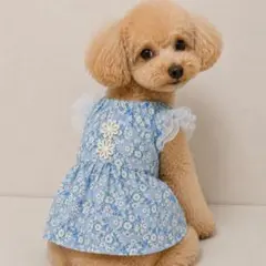 竹内ゆかり様の専用　犬服　小型犬 竹内ゆかり様専用 ハンドメイド犬服 ワンピース Sサイズ - メルカリ