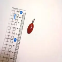 【新品】高知県　珊瑚　154g 新品】高知県珊瑚154g