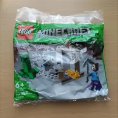 LEGO レゴ　マインクラフト 30647 2
