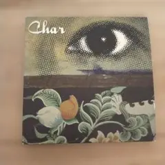 Char I'm gonna take this Chance