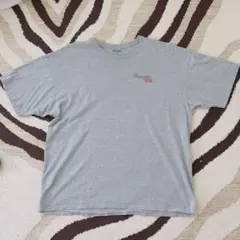 Wrangler ヴィンテージTシャツ (90s) Proロデオ組織デザイン