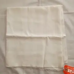 Item thumbnail for item b7bac29d-4901-438c-ab95-83b2f5a656db