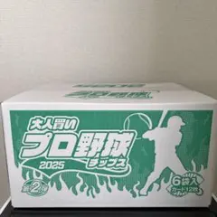 プロ野球チップス 2025 第2弾 6袋 カード12枚 大人買いBOX 送料込‼️