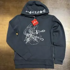 Item thumbnail for item 695c60c8-30c6-49d9-ae73-fb694c32899e