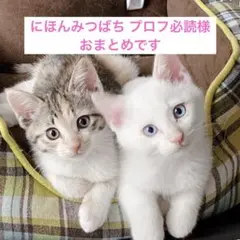 にほんみつばち プロフ必読様 リクエスト 2点 まとめ商品