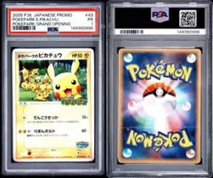 2026年最新】ポケパークのピカチュウの人気アイテム - メルカリ