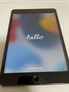 iPad mini 第4世代　128 gb cellular