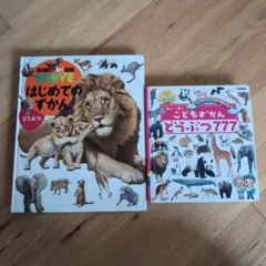 講談社の動く図鑑MOVE はじめてのずかん どうぶつ 他 2冊セットのサムネイル