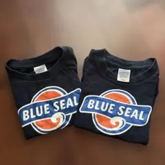 BLUE SEAL Tシャツ 100・110サイズ　2枚セット
