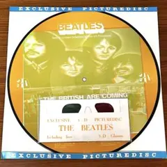 激レア!レコード新品! 1986年限定3000枚 ピクチャーレコード