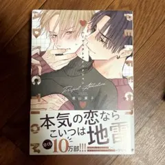 パーフェクトアディクション 1、2巻 美山薫子