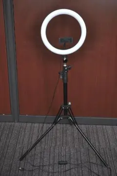 Item thumbnail for item 01bb65f0-c1cb-403e-bf8b-72e8f129a090