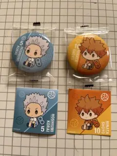 ハイキュー缶バッジ