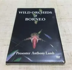 WILDO ORCHIDS OF BORNEO DVD/ボルネオ野生ラン DVD
