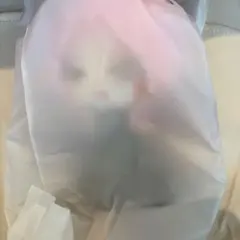 エイリアンステージ　ミジ
