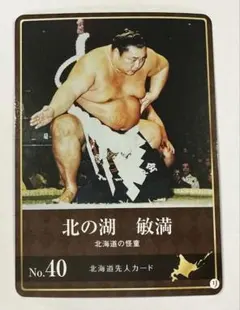 2026年最新】相撲 北の湖の人気アイテム - メルカリ