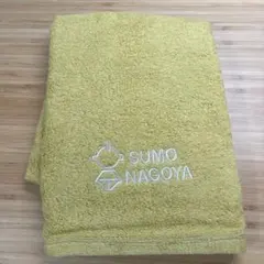 Item thumbnail for item dbd2272a-3a0d-4921-ab5b-e9d8826aa895