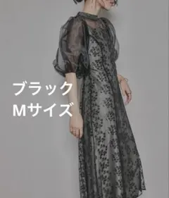 Item thumbnail for item f9dff1d1-087d-4a02-a963-8399997ba42f