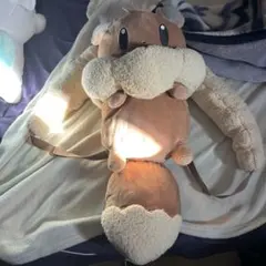 ボタンのイーブイリュック