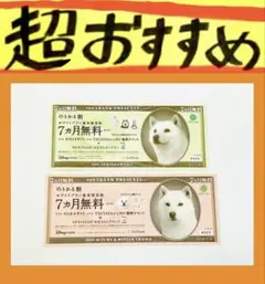 2025年最新】樋口可南子 の人気アイテム - メルカリ