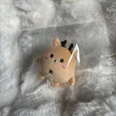 2026年最新】Riize ぬいぐるみ ソンチャンの人気アイテム - メルカリ