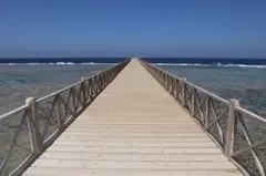 ゆいな様専用 平野紫耀 写真 33枚 3300