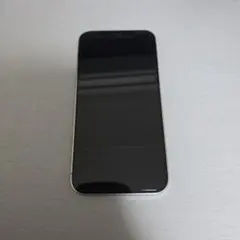 Apple iPhone 12 Pro 256GB SIMフリー