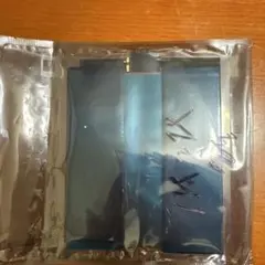 Ipad pro 11インチ第二バッテリー