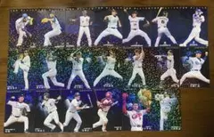 プロ野球チップス 2009 キラカード バラ売り可